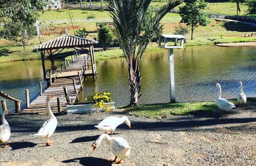Muzambinho Cottage | Farm in Muzambinho, Minas Gerais