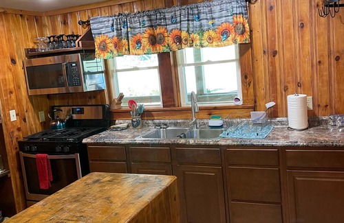 Hot Springs Cabin | Farm Stay at Brooks Cabin, pet friendly!