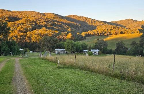 Halls Creek Other | Farm Stay Pepperina