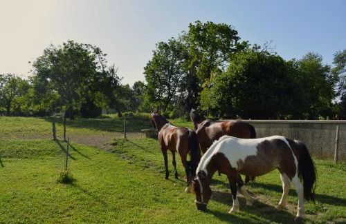 Catez ob Savi House | Farm Stay Zevnik