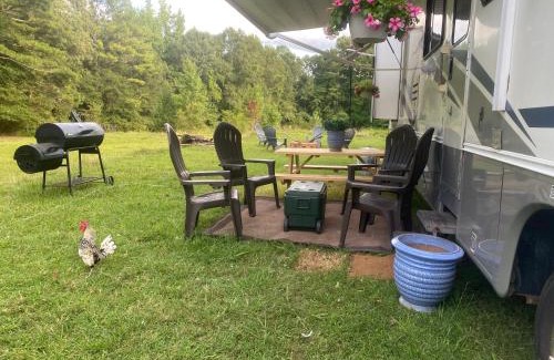 Rockdale County House | Farm