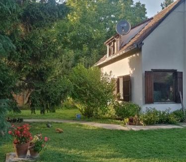 Pancevo House | Farma koza Olga
