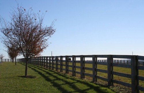 Salunga-Landisville House | Farmhouse 2 bedroom suite @ Nookside Stables