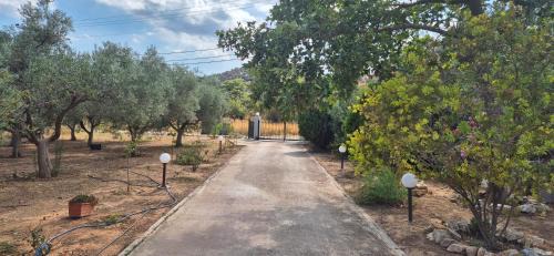 Paiania Apartment | FarmHouse near Airport