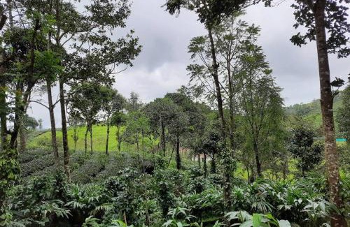 Elappara House | Farmstay in ചില്ലുകൂടാരം at Les Domki et al.