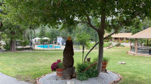 Redding Hotel | Fawndale Lodge