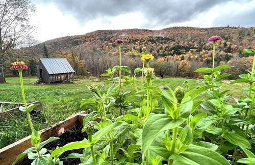 Moretown House | Fayston Farmhouse + 1850 Barn - Sugarbush Vermont Retreat