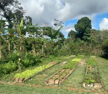 Aritagua Cabin | Fazenda 101