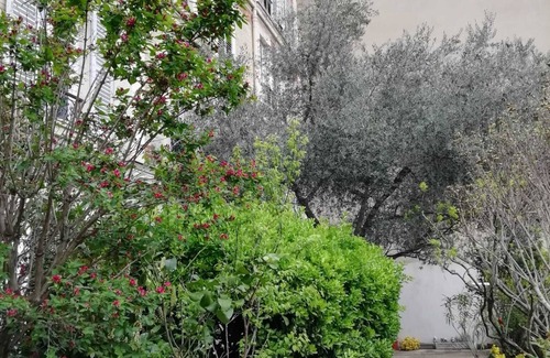 Neuilly-sur-Seine Apartment | Fenetre sur Cour en Face de L'olivier