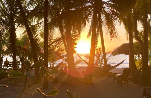 Samara House | Fenix Hotel - On the Beach
