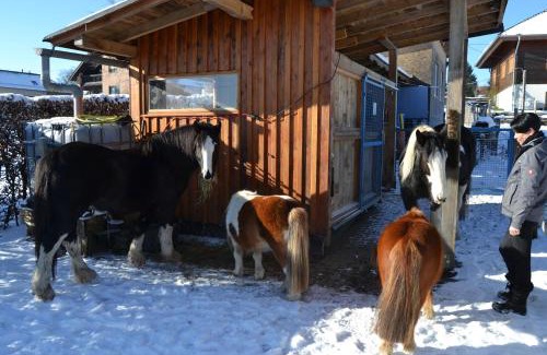 Mutzenich Apartment | Ferien bei Freunden im Holzhaus
