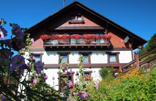 Bad Rippoldsau-Schapbach Apartment | Ferienwohnung Typ A, 46qm, 1 Schlafzimmer, max. 3 Personen