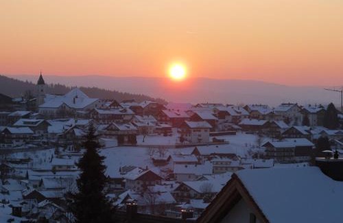 Bodenmais Hotel | Ferien- und Aktivhotel Zum Arber