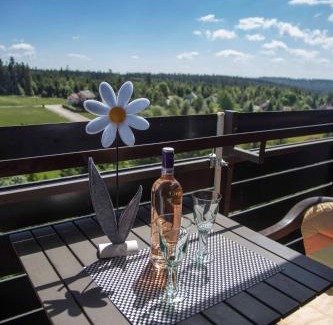 Kniebis Apartment | Ferienapartment Hoch hinaus