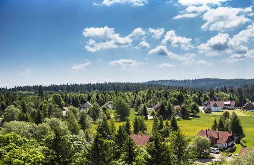 Kniebis Apartment | Ferienapartment Hoch hinaus