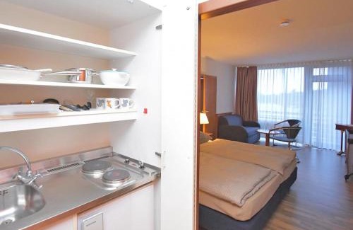 Hahnenklee Apartment | Ferienappartement Balbiani Hahnenklee-Harz