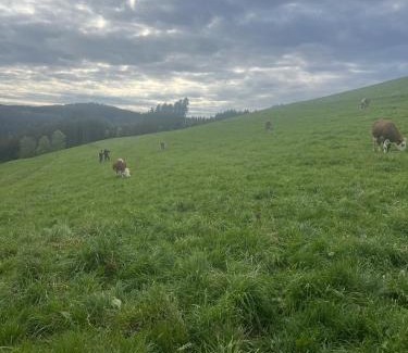 Triberg im Schwarzwald House | Ferienhaus am Kapellenhof
