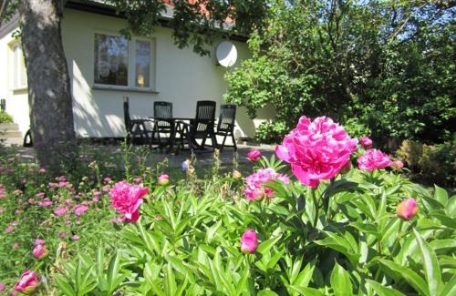 Muritz House | Ferienhaus am Schilfgürtel