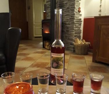 Sankt Michael im Lungau Apartment | Ferienhaus Aloisia