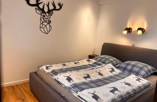 Waldkirchen House | Ferienhaus Bayerwald am Erlauzwieseler See