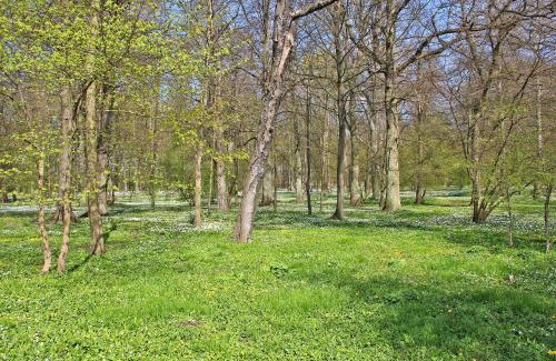 Breege House | Ferienhaus Breege RUeG 1952