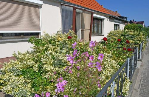 Thiessow Apartment | Ferienhaus Christa