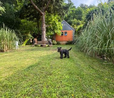 Pirna House | Ferienhaus Franz - an der Elbe, mit großem Garten