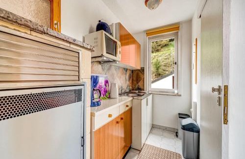 Schleusegrund House | Ferienhaus im Thüringer Wald, cleaning included