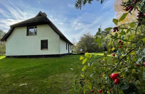 Ummanz House | Ferienhaus mit Reetdach