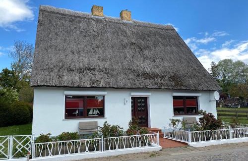 Gross Zicker House | Ferienhaus MS Fischerhus mit 250 qm im Ostseebad