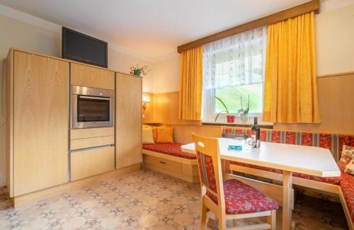 Wildschoenau Apartment | Ferienhaus Nössig