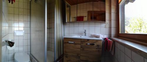Werfenweng House | Ferienhaus Regina