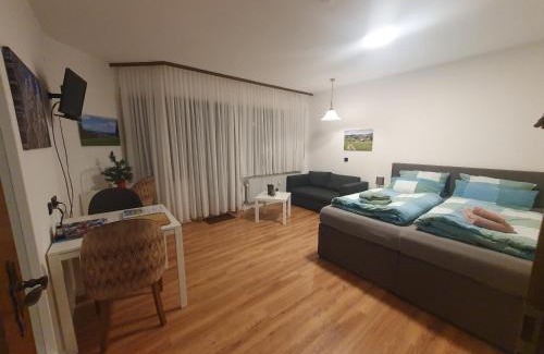 Schoenwald Apartment | Ferienhaus-Schönwald im Herzen des Schwarzwaldes 1Zimmer Wohnung mit Terrasse App17
