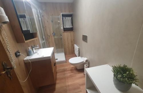 Schoenwald Apartment | Ferienhaus-Schönwald im Herzen des Schwarzwaldes 1Zimmer Wohnung mit Terrasse App17