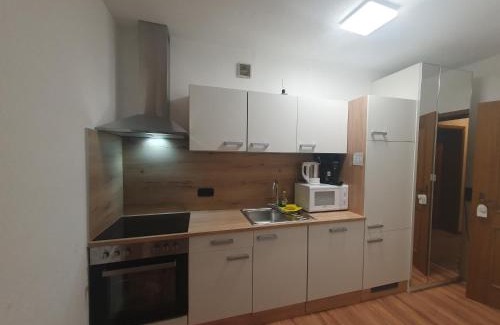 Schoenwald Apartment | Ferienhaus-Schönwald im Herzen des Schwarzwaldes 1Zimmer Wohnung mit Terrasse App17