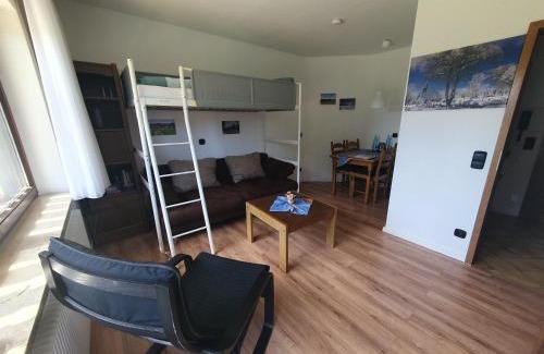 Schoenwald Apartment | Ferienhaus-Schönwald im Herzen des Schwarzwaldes 2Zimmer-Wohnung & Terrasse & Whirlpool App16