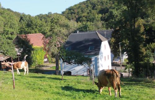 Strohn House | Ferienhaus Sprink Vulkaneifel