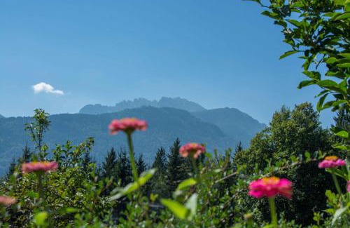 Hermagor-Pressegger See Apartment | Ferienhaus Waldhof