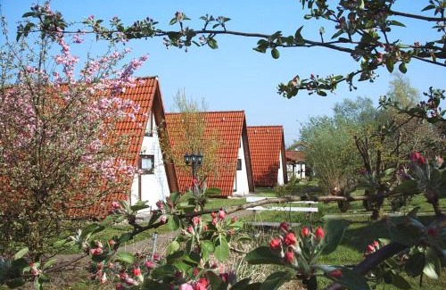 Hollern House | Ferienhaus Wigwam im Feriendorf Altes Land