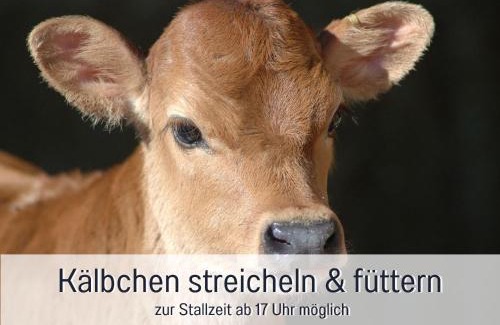 Immenstadt im Allgaeu Apartment | Ferienhof Eger - entspannter Urlaub mit Baby & Kleinkind - wahlweise top modern oder günstige Fewos - ruhig am Ende der Straße - Kälbchen füttern - Traktor fahren - Freie Fahrt mit den Hörnerbahnen in Sommersaison - E-Ladestation - E-bike Verleih ab Hof