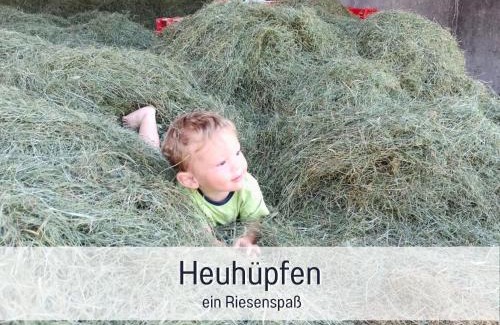 Immenstadt im Allgaeu Apartment | Ferienhof Eger - entspannter Urlaub mit Baby & Kleinkind - wahlweise top modern oder günstige Fewos - ruhig am Ende der Straße - Kälbchen füttern - Traktor fahren - Freie Fahrt mit den Hörnerbahnen in Sommersaison - E-Ladestation - E-bike Verleih ab Hof