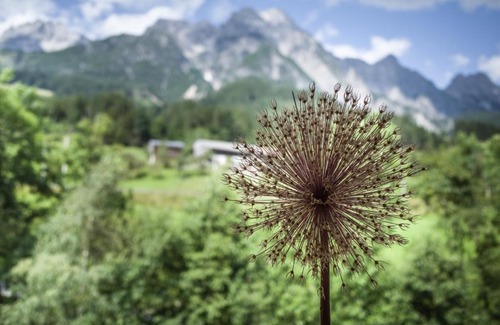 Leogang Bed & Breakfast | Ferienpension Bierbaumer