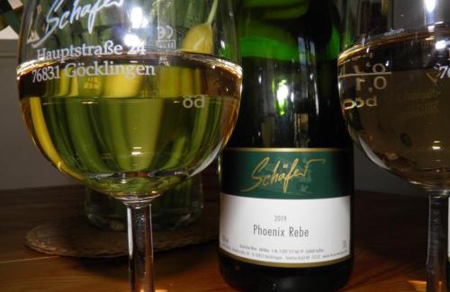 Gocklingen Apartment | Ferienweingut Schäfer