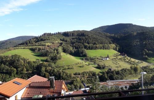 Bad Peterstal-Griesbach Apartment | Ferienwohnung Panorama
