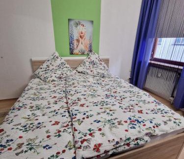 Villingen-Schwenningen Apartment | Ferienwohnung im Zentrum von Villingen-Schwarzwald