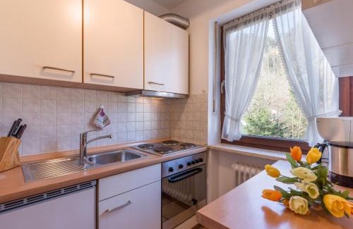 Oberaudorf Apartment | Ferienwohnanlage Oberaudorf C5 mit 5 Schlafplätzen und Hallenbad, Sauna