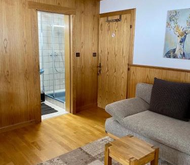 Bramberg am Wildkogel Apartment | Ferienwohnung Soller