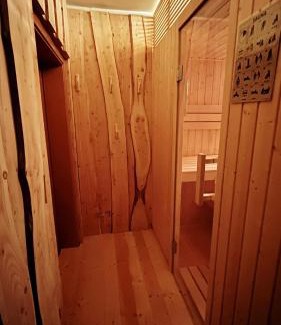 Oberwiesenthal Apartment | Ferienwohnung-direkt-am-Skihang mit Sauna
