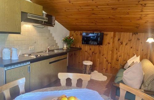 Taxenbach Apartment | Ferienwohnung 4