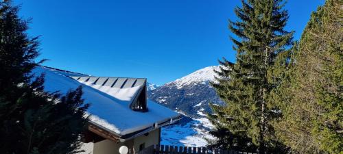 Jerzens Apartment | Ferienwohnung 4 Personen Alleinlage am Wald Nähe Skigebiet Hochzeiger